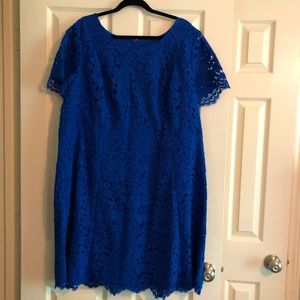 NWT Talbots Royal Blue Lace Dress 20W